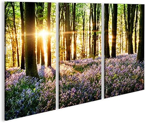 islandburner Bild Bilder auf Leinwand Lavendel im Wald 3p XXL Poster Leinwandbild Wandbild Dekoartik