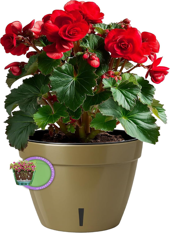 Santino ASTI 3er Set 34CM Selbstwässernder Blumentopf mit Wasserstandsanzeiger für Anlagen, Blumen,