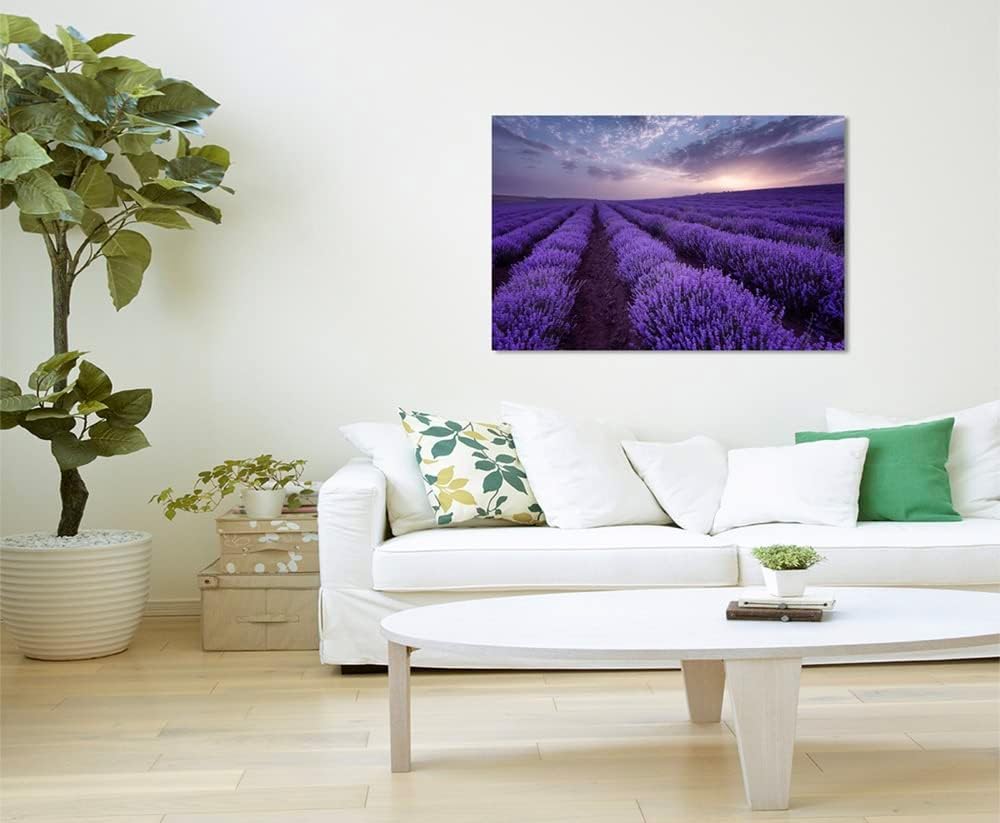 Sinus Art Landschaftsfotografie Lavendelfelder bei Sonnenaufgang auf Leinwand Exklusives Wandbild Mo
