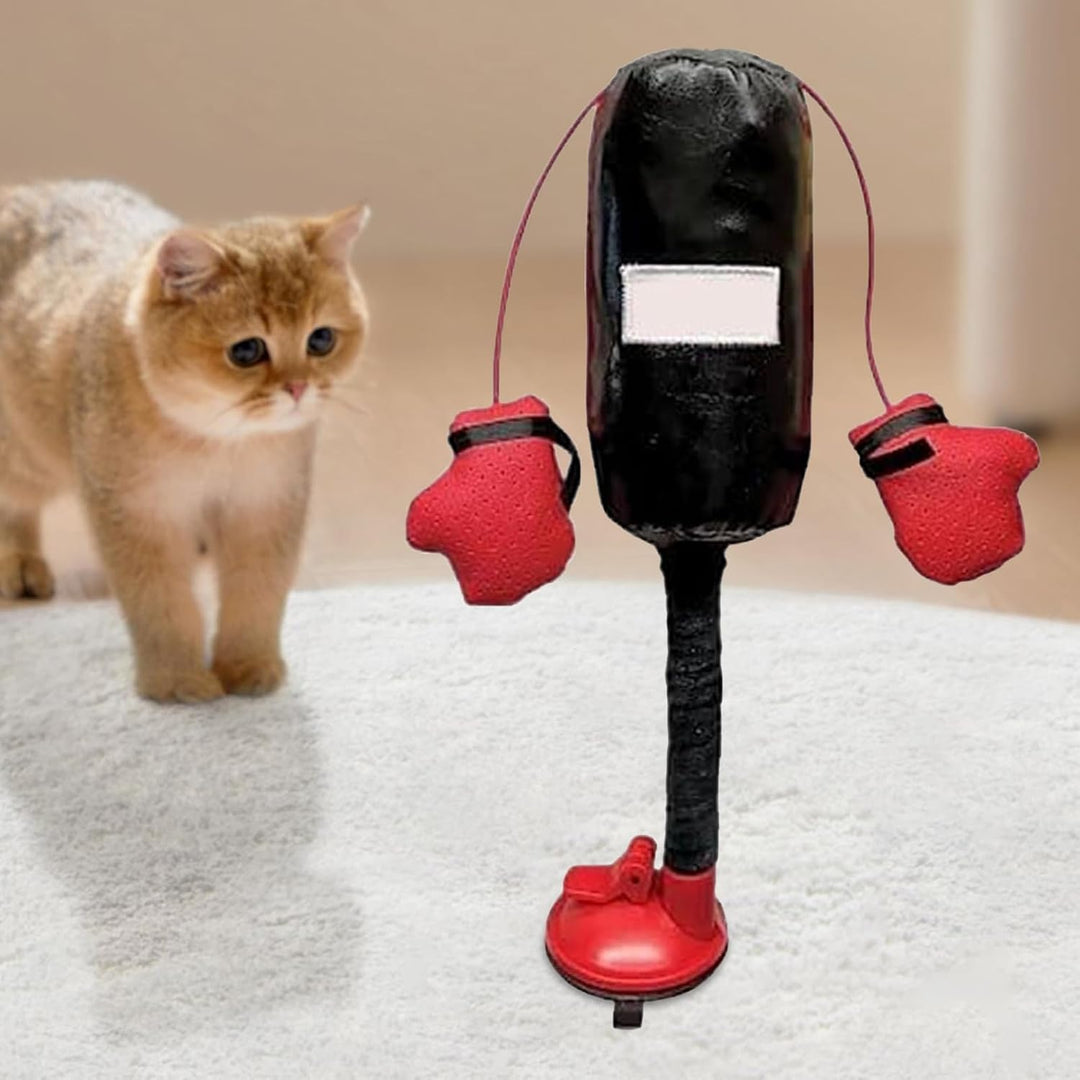 Boxsack mit Handschuhen Katzenspielzeug, EIN Katzen-Boxspielzeug - Boxsack für Katzen für Kätzchen |