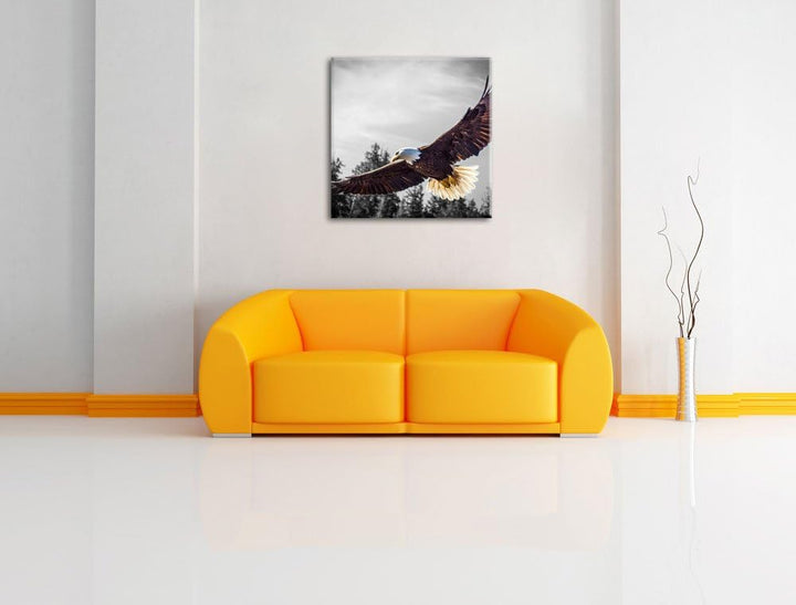 Pixxprint grosser Fliegender Adler als Leinwandbild/Grösse: 70x70 cm/Wandbild/Kunstdruck/fertig besp