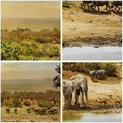 Wandbilder Dekoration Wohnzimmer Safari Tiere Panorama Bilder auf Leinwand 120x50cm Leinwandbild mit