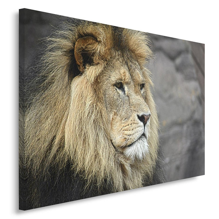 Feeby, Wandbild - 1 Teilig - 80x120 cm, Leinwand Bild Leinwandbilder Bilder Wandbilder Kunstdruck, L