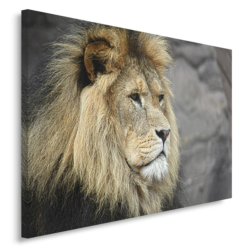 Feeby, Wandbild - 1 Teilig - 60x80 cm, Leinwand Bild Leinwandbilder Bilder Wandbilder Kunstdruck, LÖ