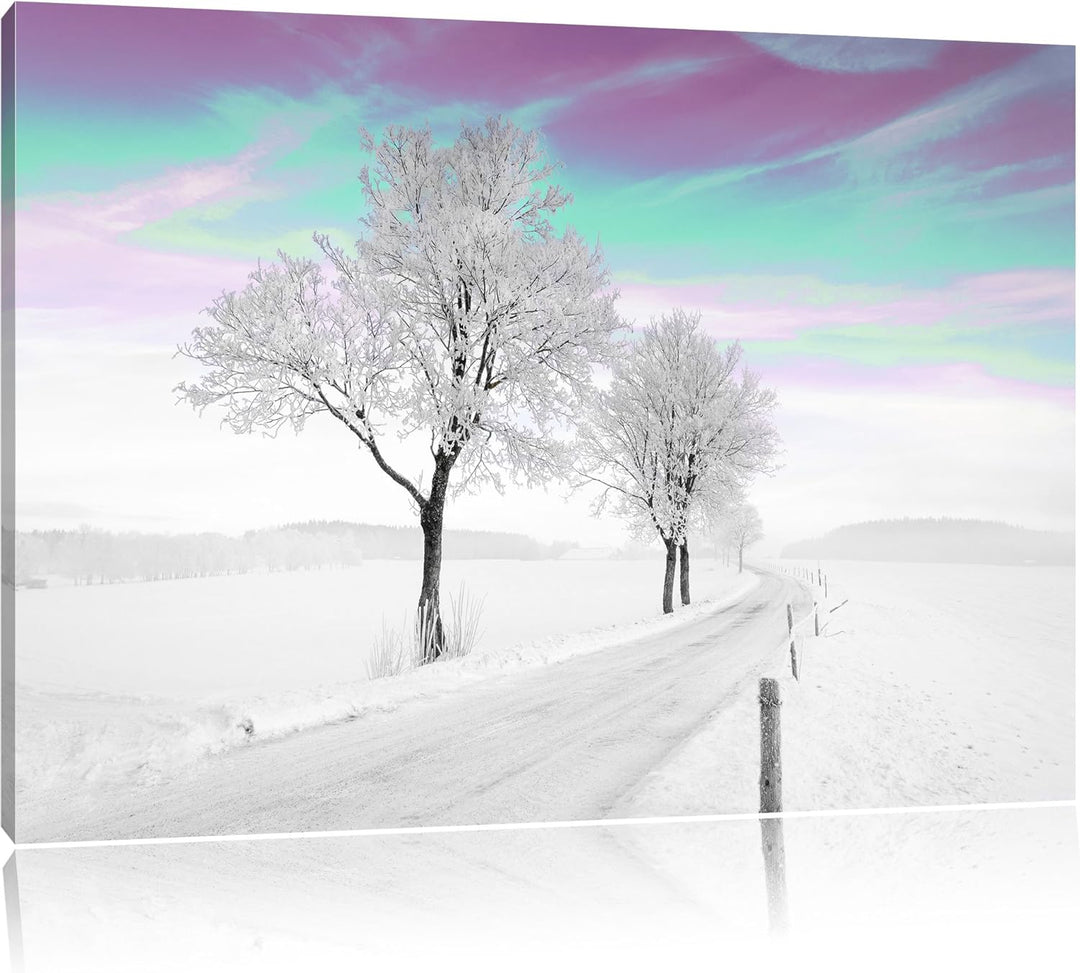 Schneebedeckter Baum in schöner Winterlandschaft schwarz/weiss Format: 100x70 auf Leinwand, XXL ries