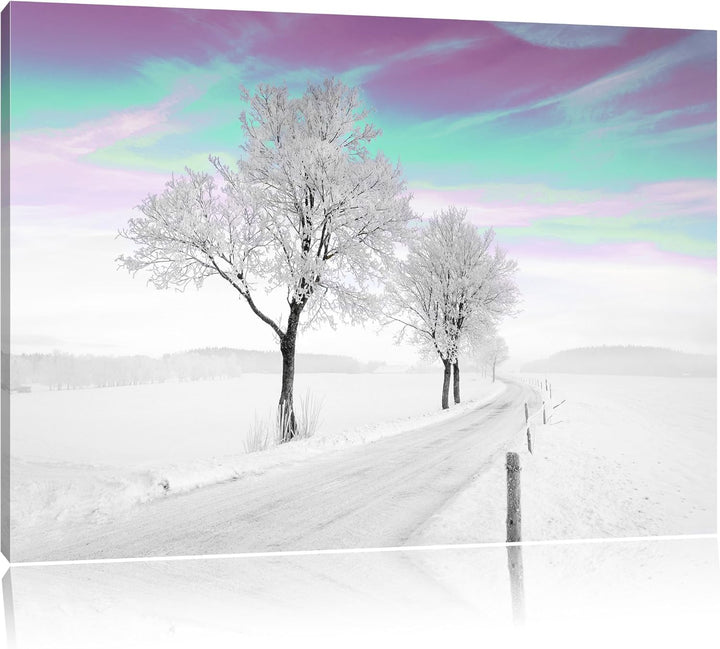 Schneebedeckter Baum in schöner Winterlandschaft schwarz/weiss Format: 100x70 auf Leinwand, XXL ries