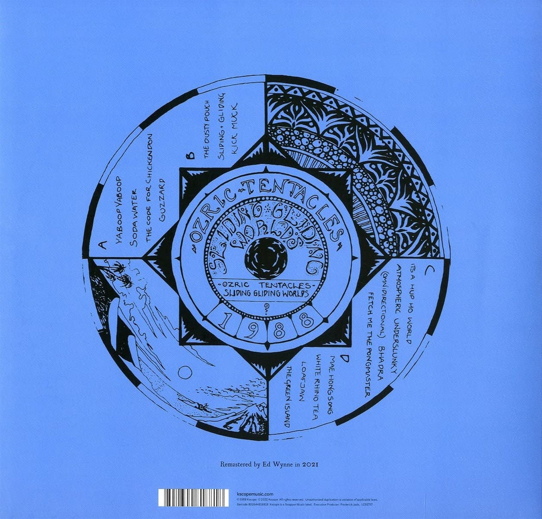 Sliding Gliding Worlds, Vinyl