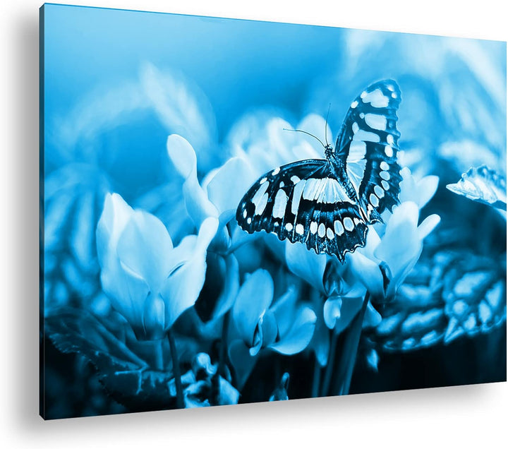 deyoli Pinker Schmetterling Format 80x60 Effekt: Monocrome Blau als Leinwandbild, Motiv fertig gerah