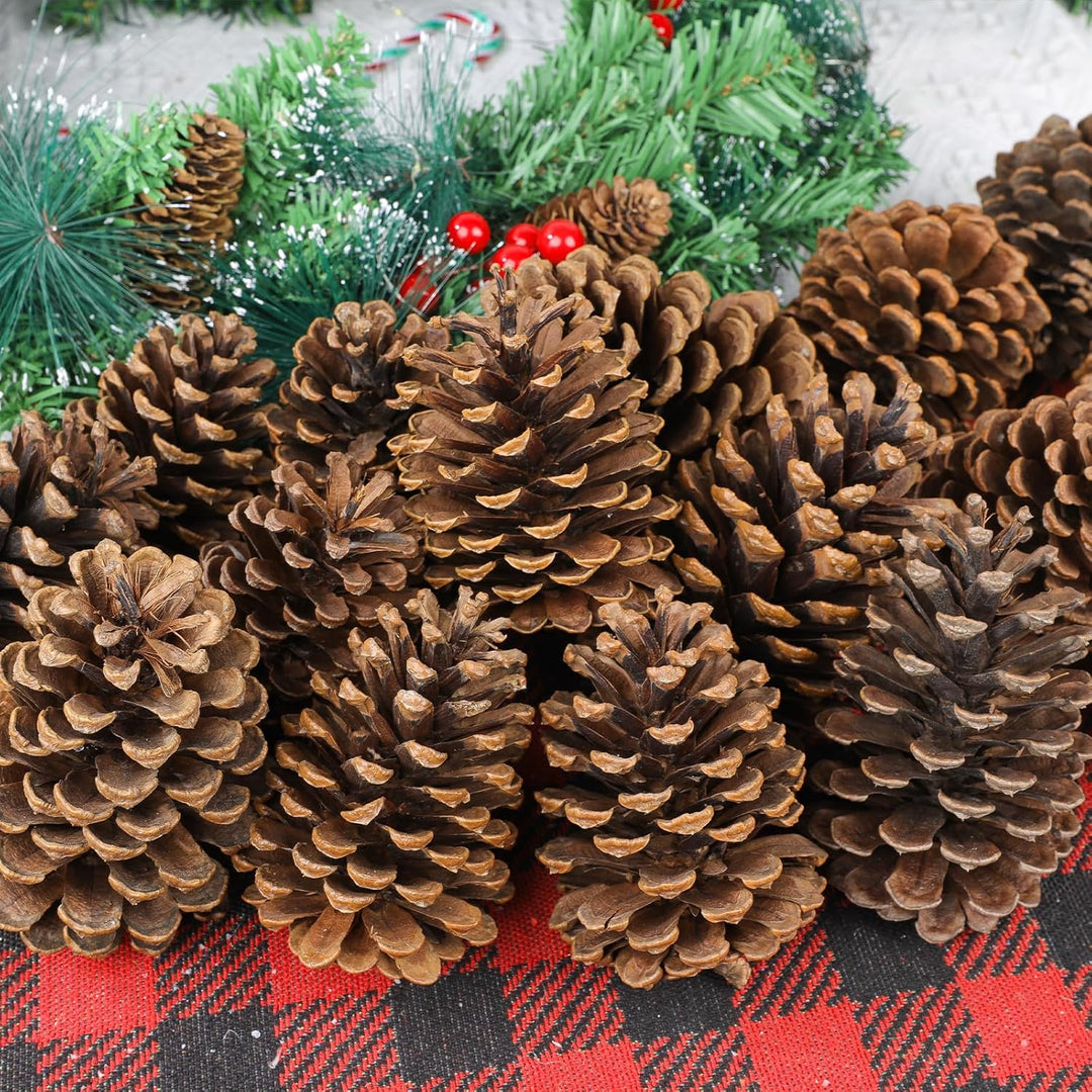 24 Stück Tannenzapfen Gross,11-14cm Kiefernzapfen,Zapfen zum Basteln für Weihnachtsbaum,Weihnachten,