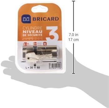 BRICARD 17153 Zylinder 14703 Astral 2,9 Messing vernickelt 10 Kolben, 2 Eingänge Schutz gegen den Bo