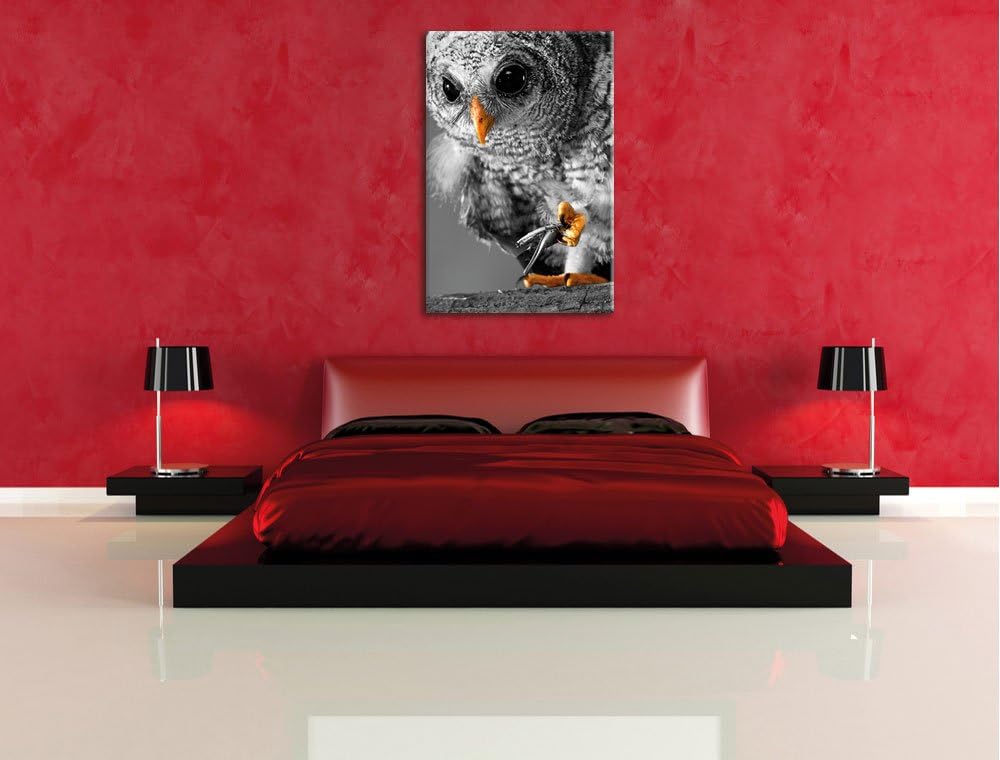 Pixxprint Eule mit Grille in ihren Krallen als Leinwandbild/Grösse: 100x70 cm/Wandbild/Kunstdruck/fe