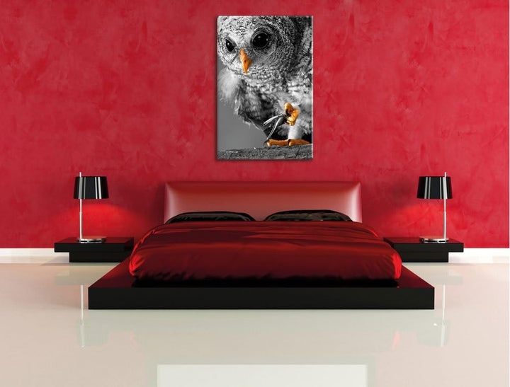 Pixxprint Eule mit Grille in ihren Krallen als Leinwandbild/Grösse: 100x70 cm/Wandbild/Kunstdruck/fe