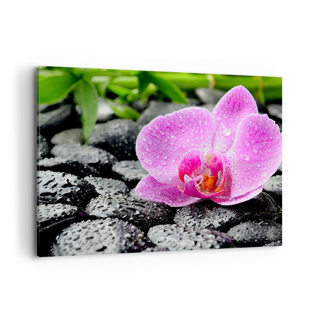 Bilder auf Leinwand 100x70cm Leinwandbild Asien bambus schönheit kultur Gross Wanddeko Bild Schlafzi