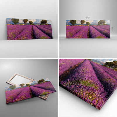 Wandbilder Dekoration Wohnzimmer Landschaft Wiese Pflanzen Panorama Bilder auf Leinwand 120x50cm Lei