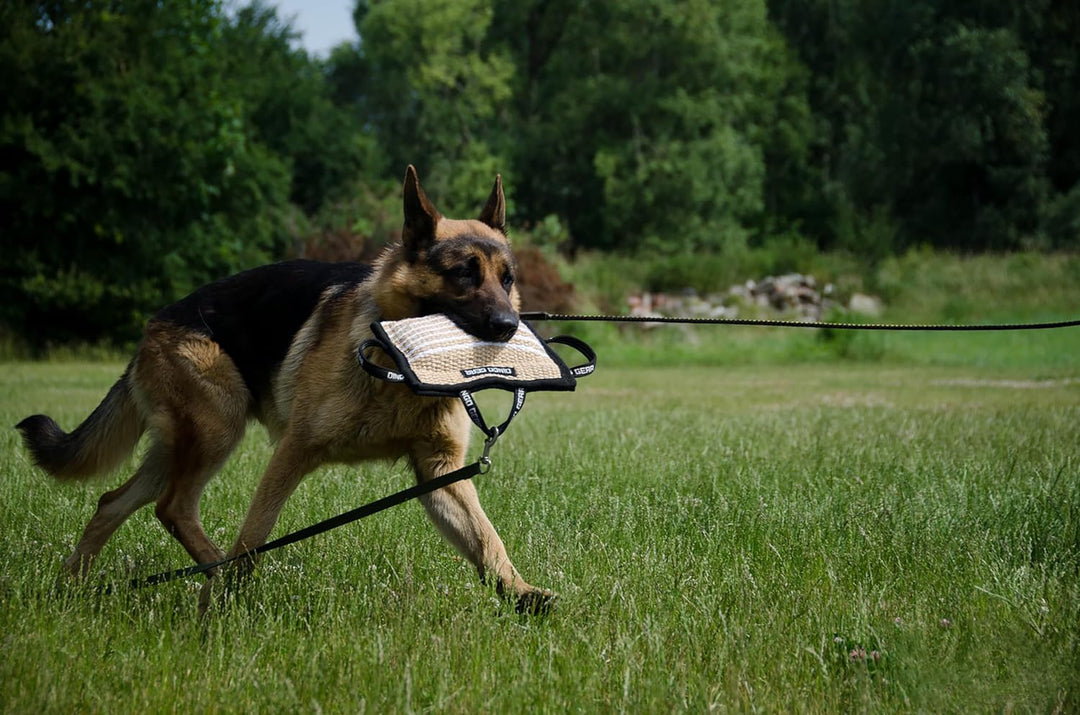 Dingo Gear Beisskissen aus Jute Keilform Medium Extra Ausbildung IGP IPO K9 Hundetraining S00519 Jut