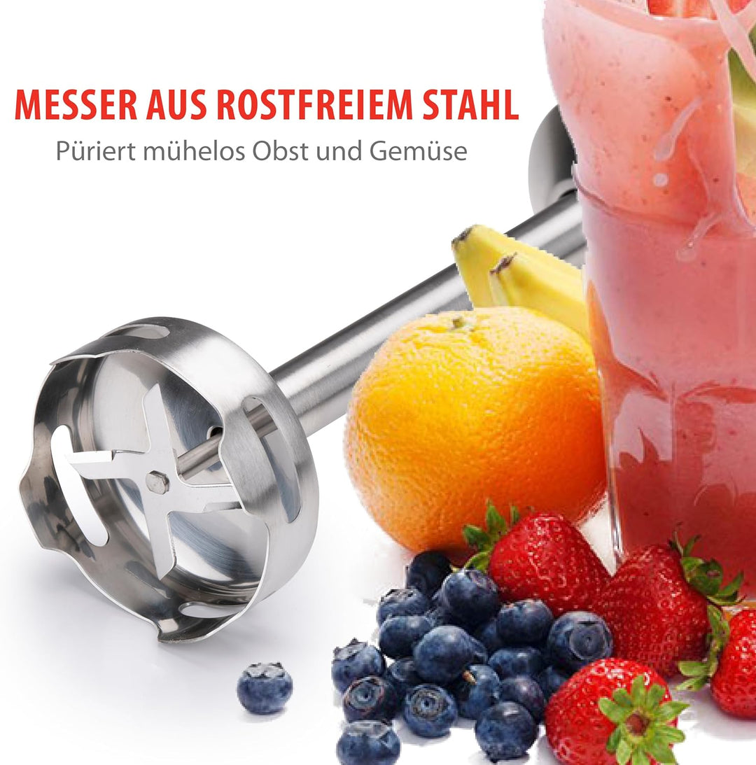 ALPINA Stabmixer, 1000 Watt, Rostfreier Edelstahl, Schwarz-Silber