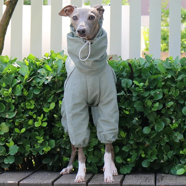 Italienische Greyhound wasserdichte Jacke, Winddichte Hundemantel Jumpsuit Mit Reissverschluss Leich