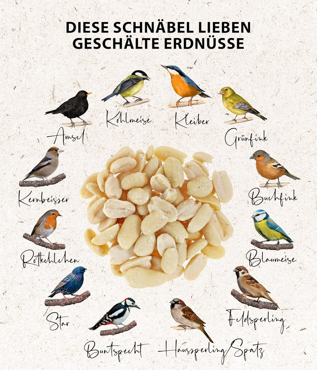 Dehner Natura Wildvogelfutter, halbe/ganze Erdnüsse, 20 kg halbe/ganze Erdnüsse 20 kg (1er Pack), ha