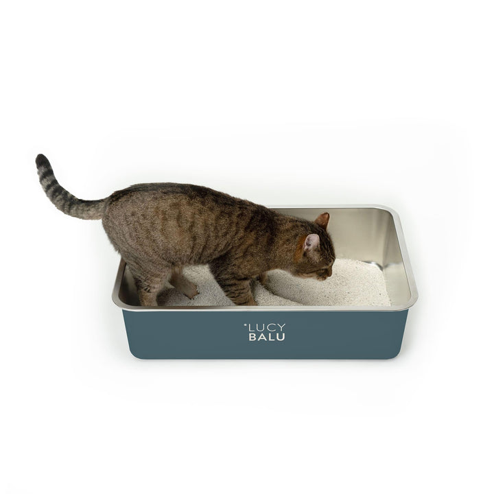 LucyBalu® Edelstahl Katzenklo geruchsfrei | grosse Katzentoilette aus Edelstahl | offenes Katzenklo