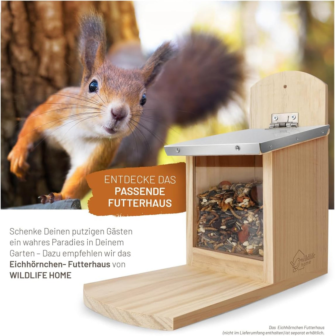 wildtier liebe Eichhörnchenfutter 2kg für Eichhörnchen & Streifenhörnchen I Ganzjahres-Futter Eichhö