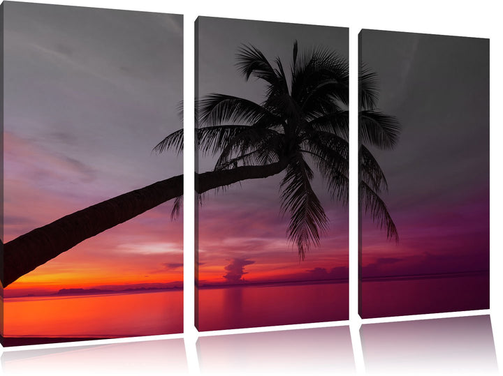 Pixxprint Palme am Meer mit Sonnenuntergang als Leinwandbild/Grösse: 3 Teilig (120x80) cm/Wandbild/K