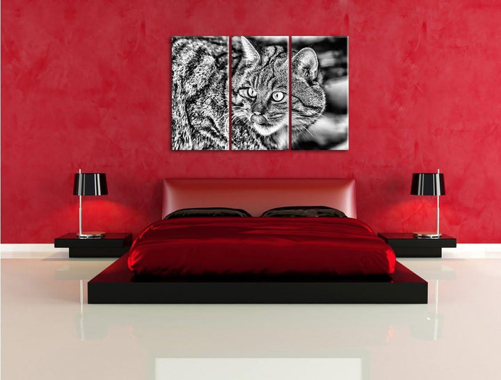 Pixxprint schöne Manul in Schneelandschaft als Leinwandbild/Grösse: 3 Teilig (120x80) cm/Wandbild/Ku