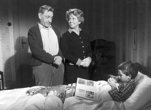 Die Unverbesserlichen [8 DVDs], DVD