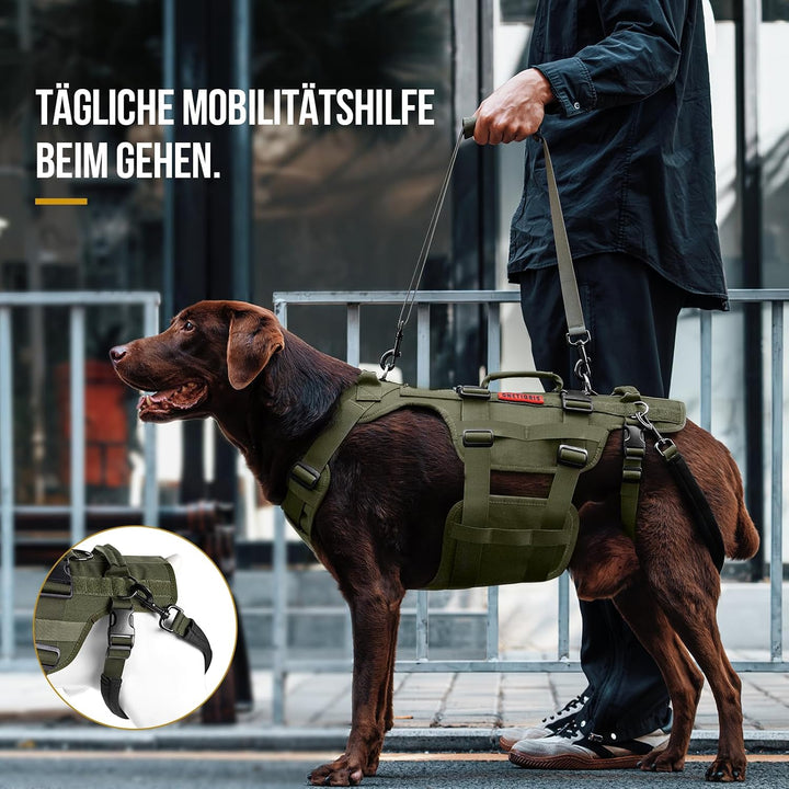 OneTigris Hundegeschirr, Invictus Hunde Tragehilfe für Mittelgrosse Grosse, Einstellbar Gehhilfe für