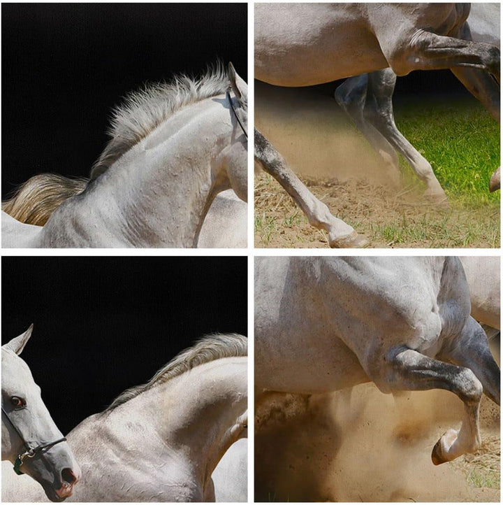 Bilder auf Leinwand Pferde Sand Gras Leinwandbild mit Rahmen 70x50cm Wandbilder Dekoration Wohnzimme