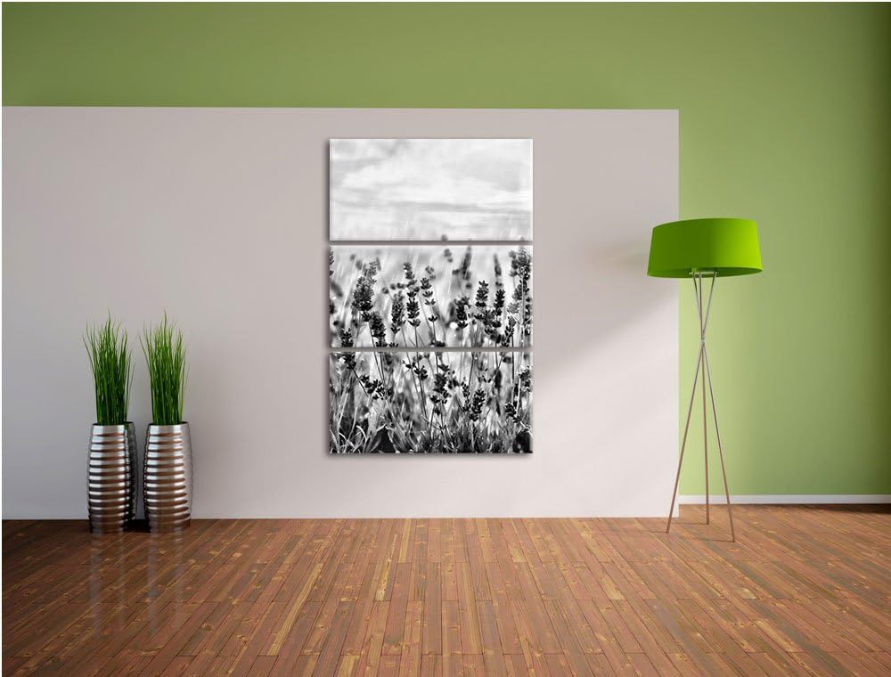 Pixxprint Schöner Lavendel im Regen als Leinwandbild/Grösse: 3 Teilig (120x80) cm/Wandbild/Kunstdruc