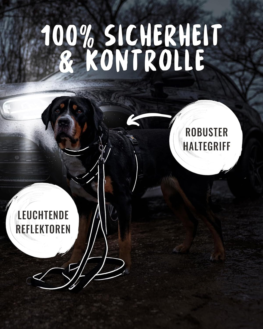 Rudelkönig Hundegeschirr Paola - Reflektierendes Brustgeschirr Hund gross mit Haltegriff - Geschirr