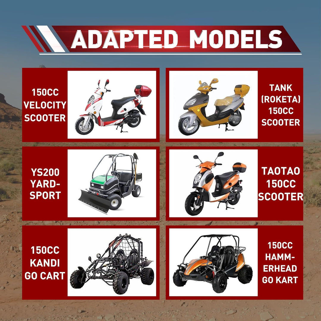 WOOSTAR Komplette Variatorrollen Baugruppe Ersatz für 4 Takt GY6 125ccm 150ccm Roller Go Kart 152QMI