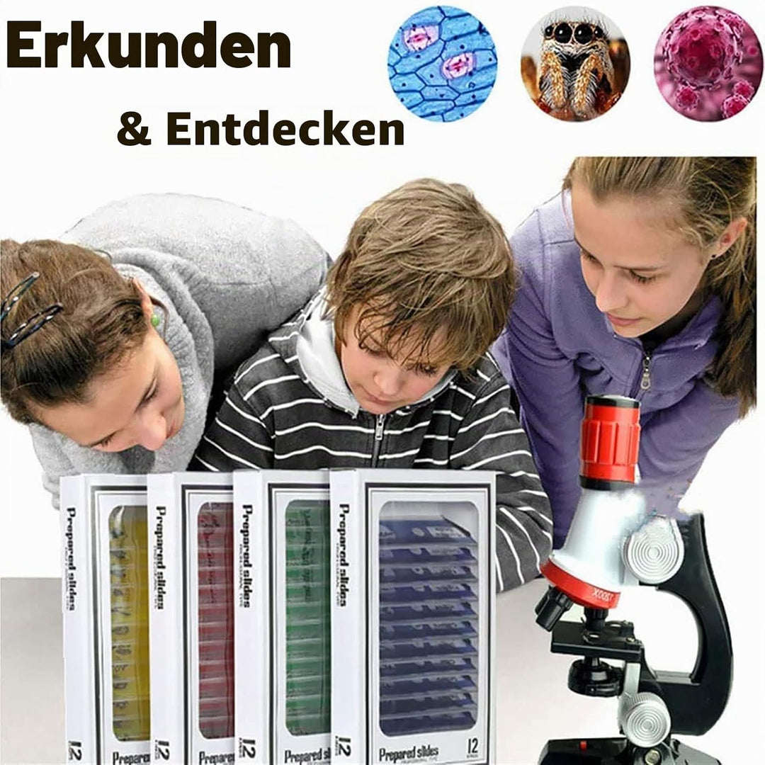 48 Stück Mikroskop Zubehör, Mikroskop Objektträger mit biologischen Proben, 24 Dauerpräparaten zu Ti