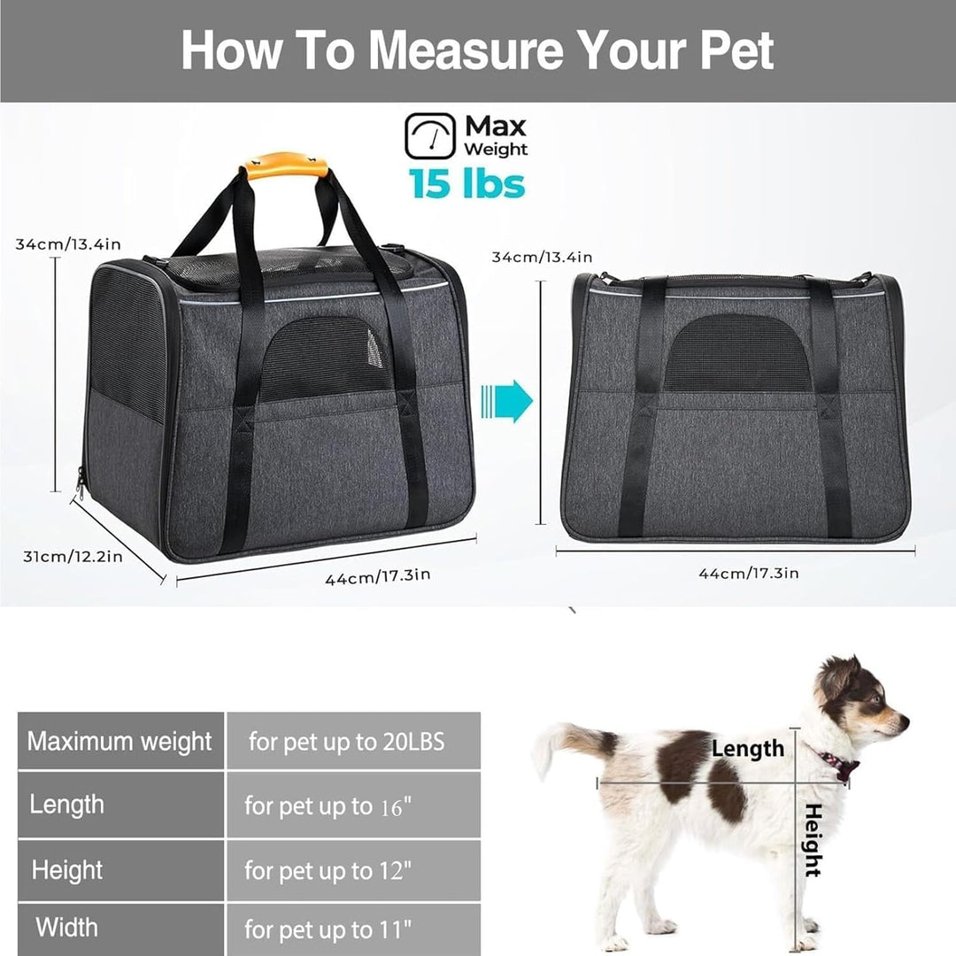 Hundetasche katzentasche Transportbox mit Katze-Tragetasche Airline genehmigt für mittlere, kleine H