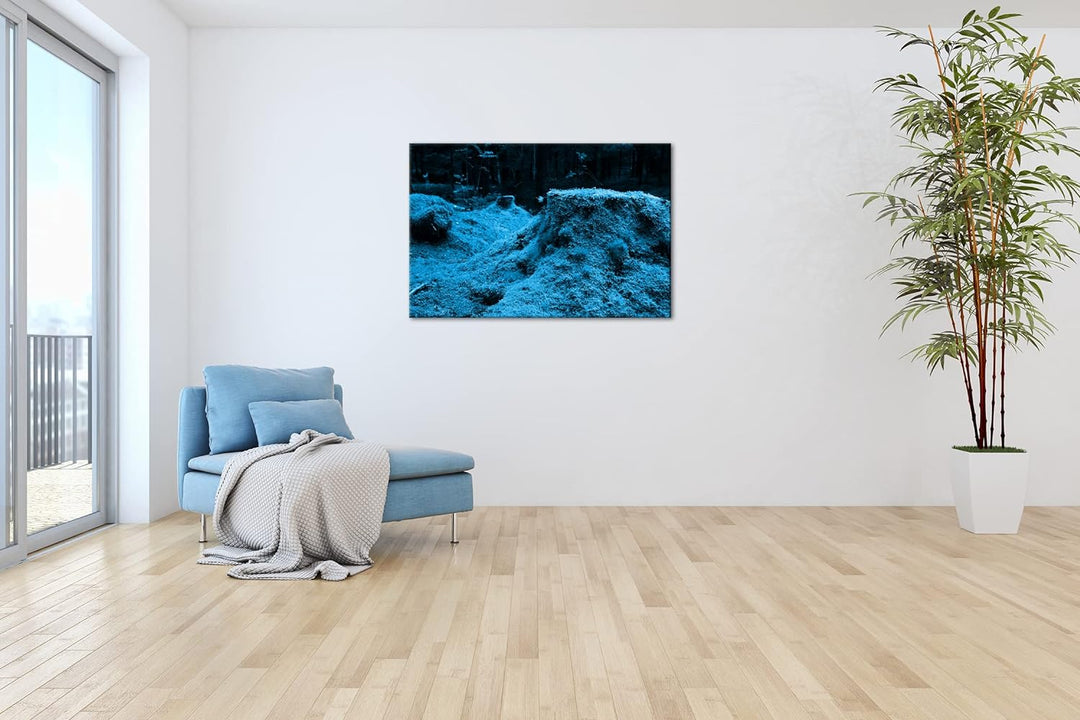 deyoli Moos bedeckter Waldboden Format 100x70 Effekt: Monocrome Blau als Leinwandbild, Motiv fertig