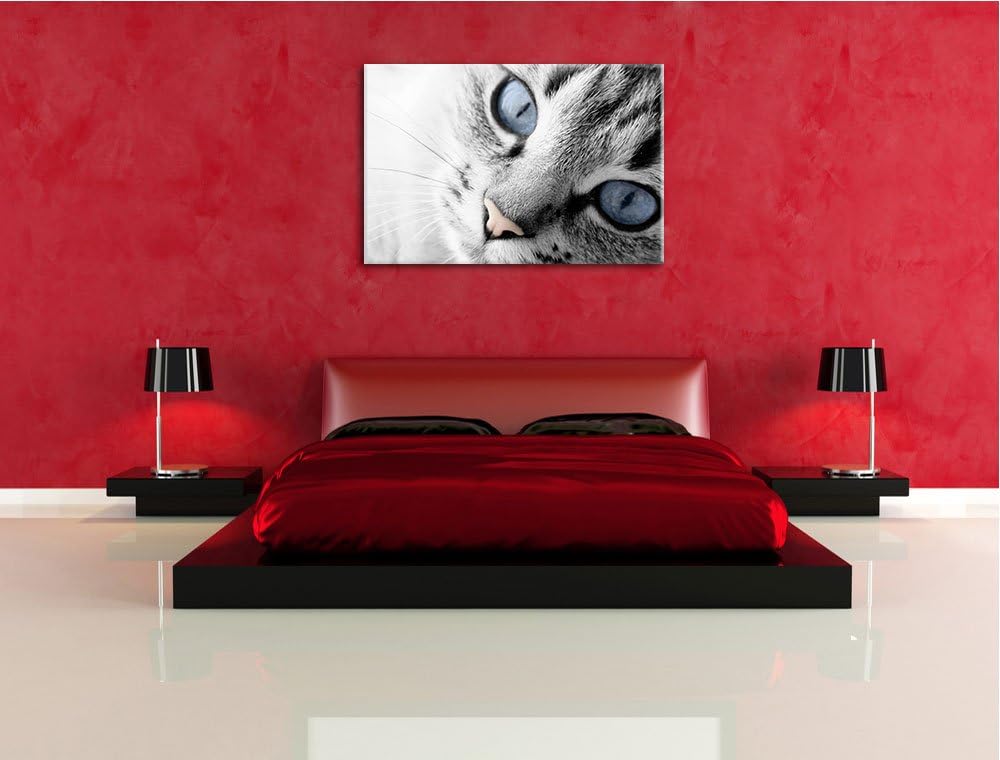 schöne Katzenaugen schwarz/weiss Format: 100x70 auf Leinwand, XXL riesige Bilder fertig gerahmt mit
