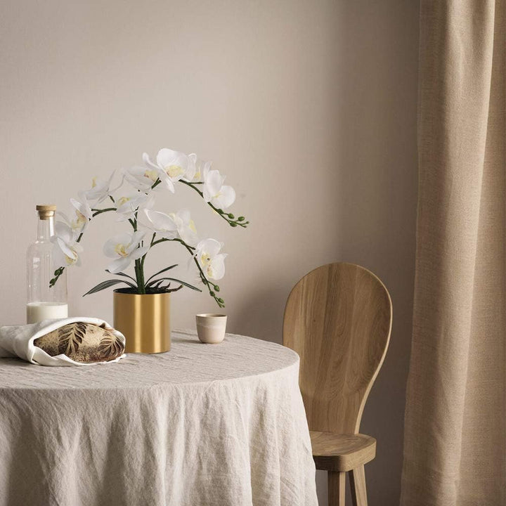 LESING Künstliche Orchidee mit Vase, weisse Orchidee Bonsai künstliche Orchidee Phalaenopsis Pflanzt