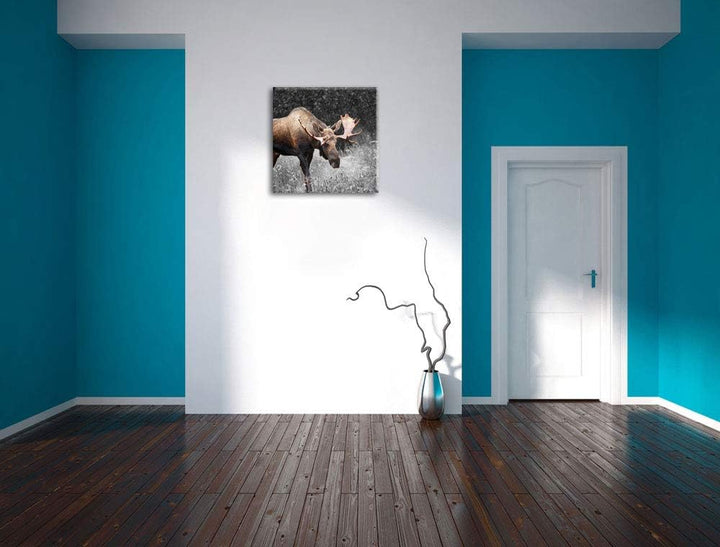 Pixxprint prächtiger Elch auf Wiese als Leinwandbild Quadratisch/Grösse: 70x70 / Wandbild/Kunstdruck