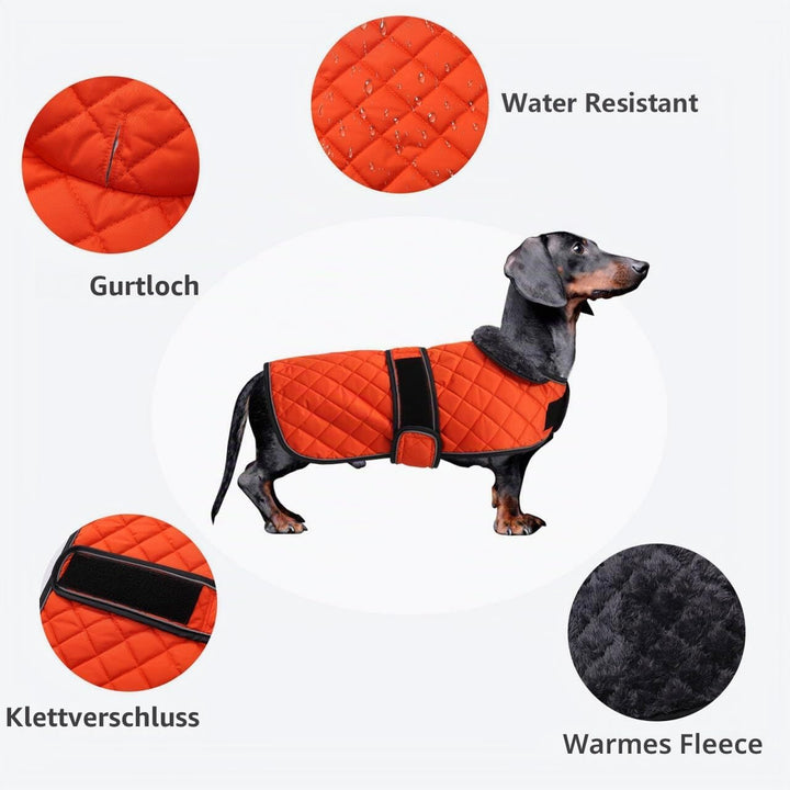 MOREZI Hundemantel Winter für Dackel - Wasserdichter Hunde Pullover mit Wolle Futter &amp; Verstellbaren