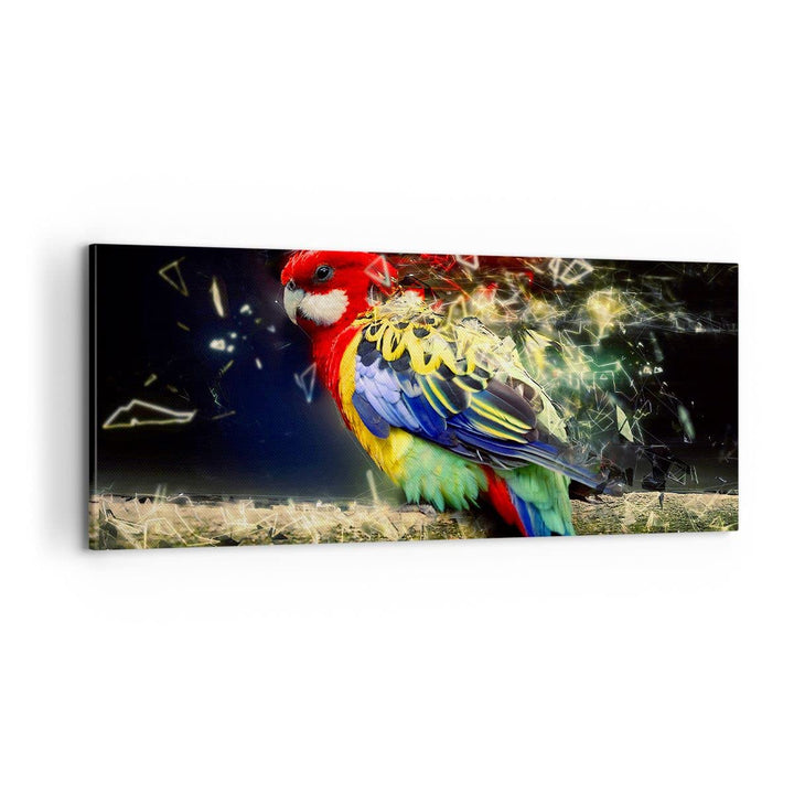 Panorama Bilder auf Leinwand 100x40cm Leinwandbild Papagei Vogel Feder Gross Wanddeko Bild Schlafzim