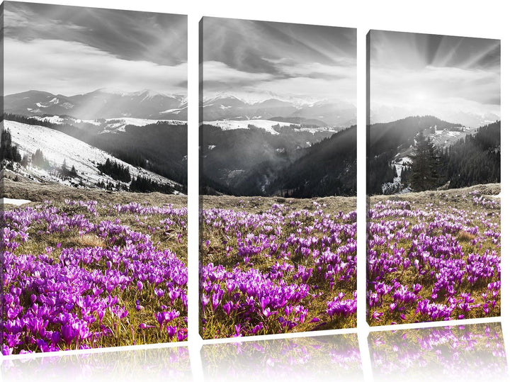 Pixxprint Berglandschaft Regenbogen als Leinwandbild/Grösse: 3 Teilig (120x80) cm/Wandbild/Kunstdruc