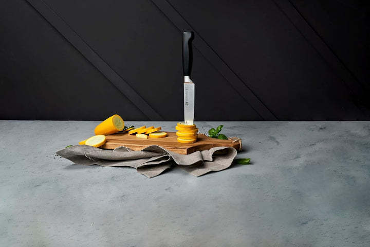ZWILLING Vier Sterne Fleischmesser 26 cm, Rostfreier Spezialstahl, Ergonomischer Kunststoff-Griff, S