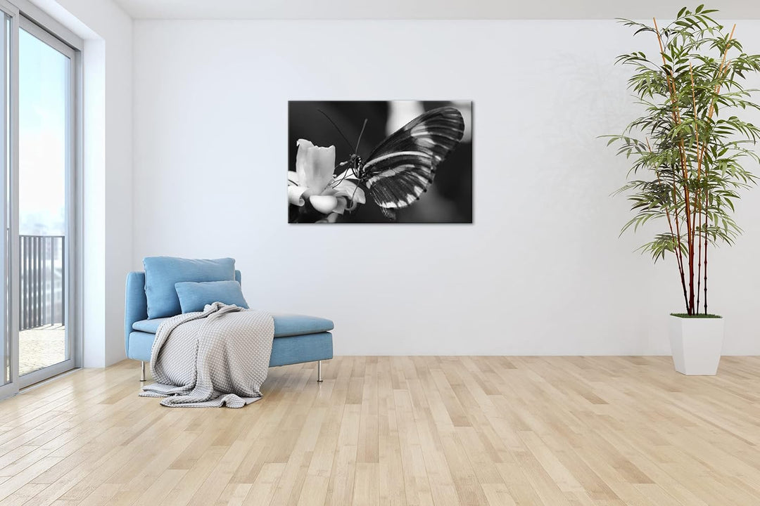 deyoli zauberhafter Schmetterling Effekt: Schwarz&Weiss Format: 80x60 als Leinwandbild, Motiv fertig