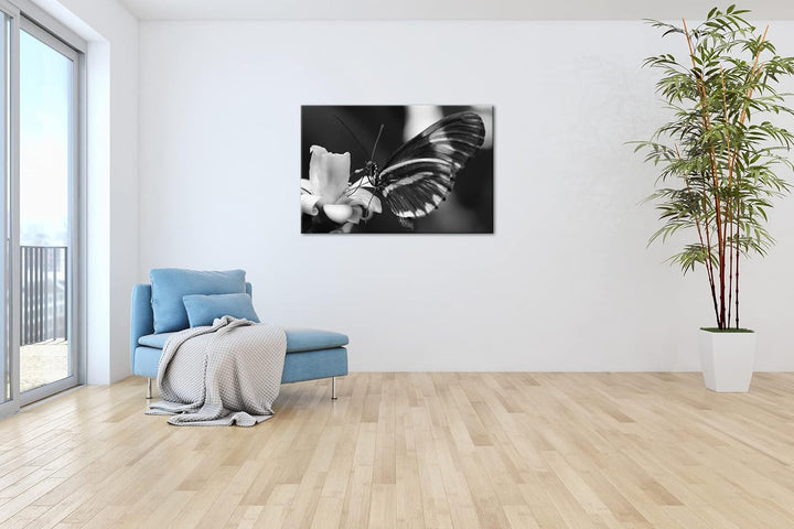 deyoli zauberhafter Schmetterling Effekt: Schwarz&Weiss Format: 80x60 als Leinwandbild, Motiv fertig