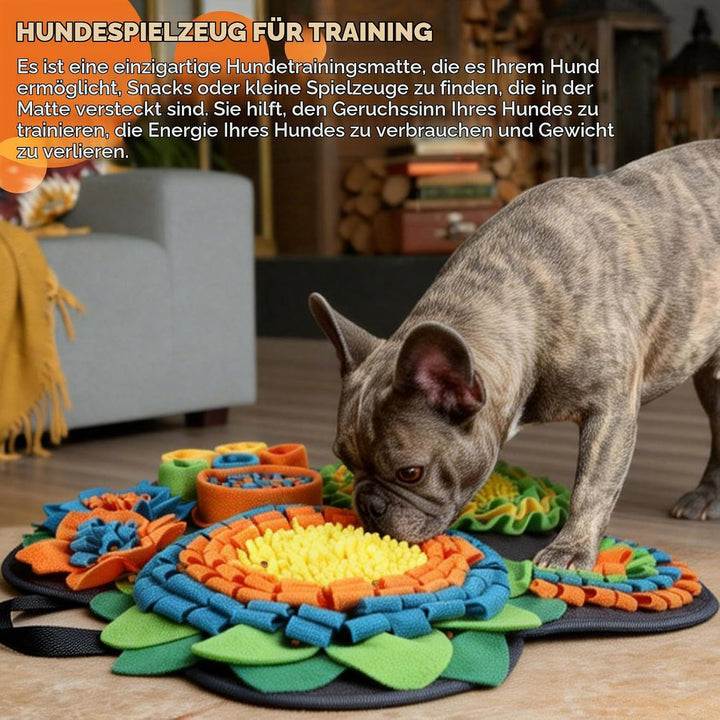 Hund Schnüffelteppich, Schnüffelteppich für Hunde Waschbar Schnüffelmatte Trainingsmatte Riechen Tra