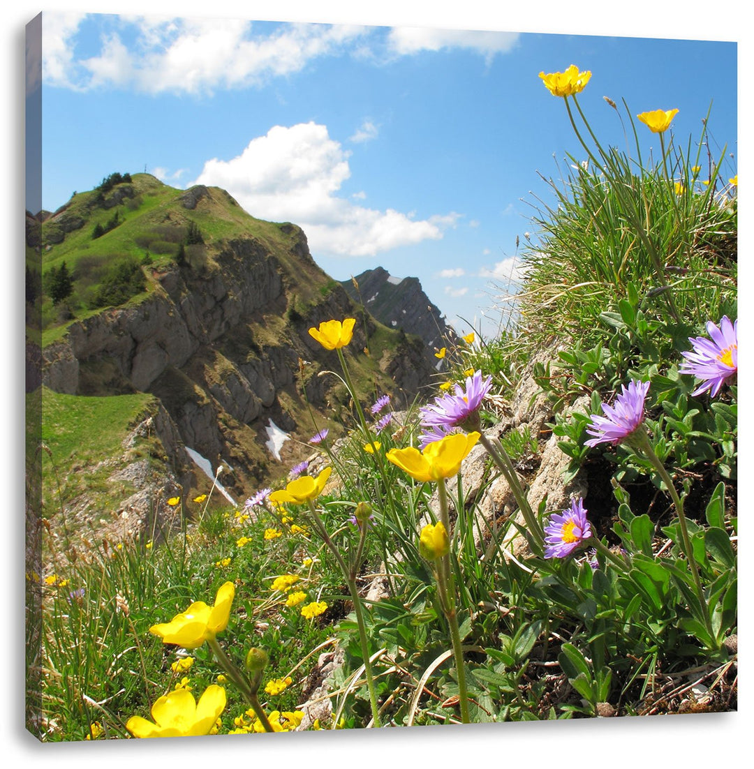 Blumenwiese im Frühling, Format: 70x70 auf Leinwand, XXL riesige Bilder fertig gerahmt mit Keilrahme