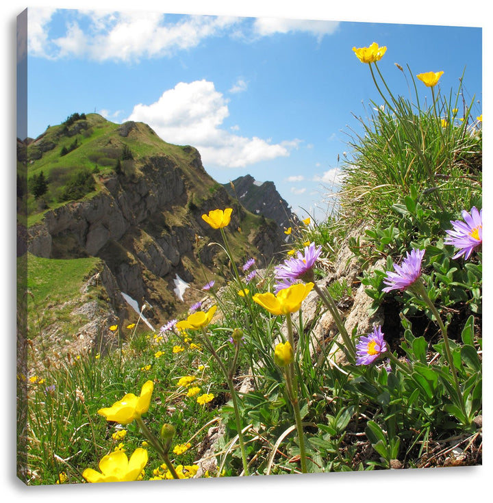 Blumenwiese im Frühling, Format: 70x70 auf Leinwand, XXL riesige Bilder fertig gerahmt mit Keilrahme