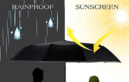 VON LILIENFELD® Regenschirm Automatik Damen Herren Kunst Motiv Gustave Caillebotte: Paris im Regen