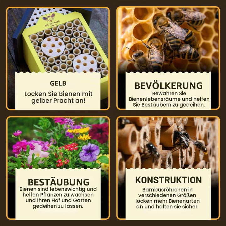 WildYard Big Bee Box - Bienenhaus aus Holz für Draussen, Gelb - Lockt Mauerbienen am Balkon - Kompak