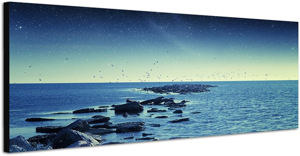 Paul Sinus Art Panoramabild auf Leinwand und Keilrahmen 150x50cm Meer Steine Vögel Morgengrauen Ster
